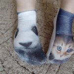 phoca_thumb_m_ponokov den 24 Fotogalerie